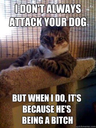 I don't always attack your dog but when I do, It's because he's
 being a bitch  The Most Interesting Cat in the World