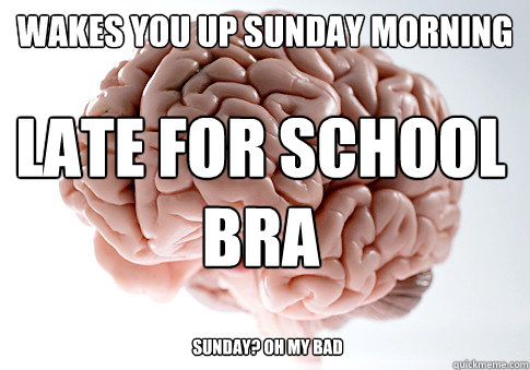 Wakes you up sunday morning LATE FOR SCHOOL BRA Sunday? Oh my bad  Scumbag Brain