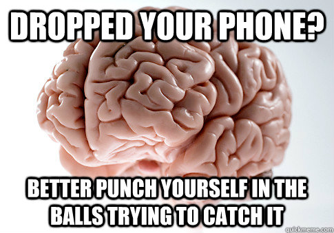 Dropped your phone? Better punch yourself in the balls trying to catch it  Scumbag Brain