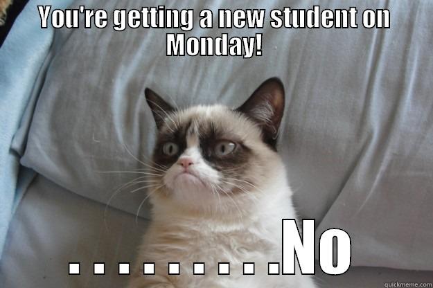 YOU'RE GETTING A NEW STUDENT ON MONDAY! . . . . . . . . .NO Grumpy Cat