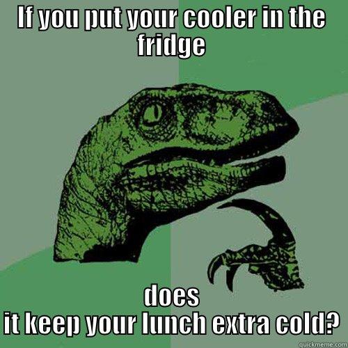 IF YOU PUT YOUR COOLER IN THE FRIDGE DOES IT KEEP YOUR LUNCH EXTRA COLD? Philosoraptor