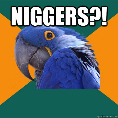 NIGGERs?!   Paranoid Parrot