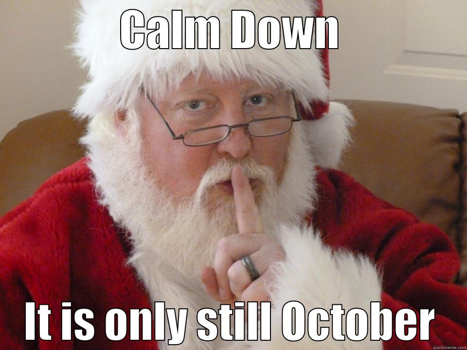 Calm Santa - CALM DOWN IT IS ONLY STILL OCTOBER Misc