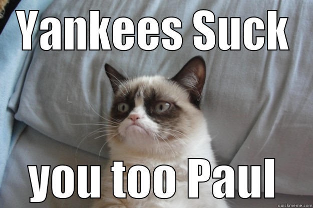 YANKEES SUCK YOU TOO PAUL Grumpy Cat