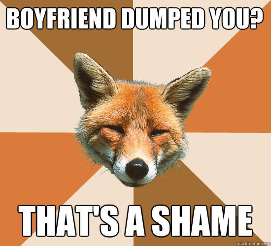 boyfriend dumped you? that's a shame  Condescending Fox