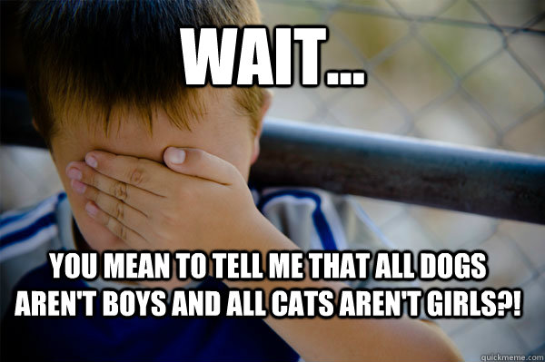 Wait... You mean to tell me that all dogs aren't boys and all cats aren't girls?!  Confession kid