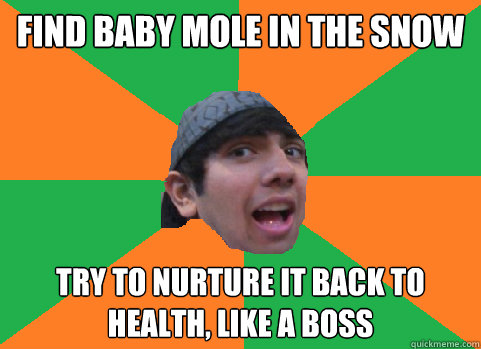 find baby mole in the snow try to nurture it back to health, like a boss - find baby mole in the snow try to nurture it back to health, like a boss  For-real Nikhil