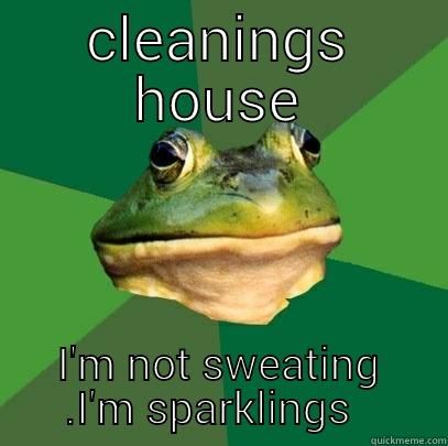 CLEANINGS HOUSE I'M NOT SWEATING .I'M SPARKLINGS   Foul Bachelor Frog