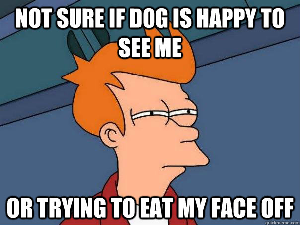 Not sure if dog is happy to see me or trying to eat my face off  Futurama Fry