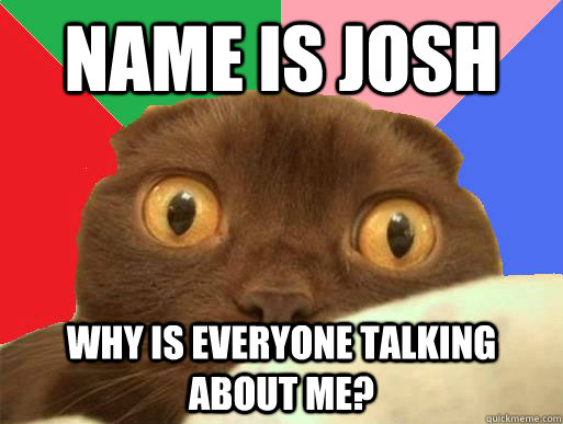 Name is Josh Why is everyone talking about me?  Crazy Paranoid Mom Cat