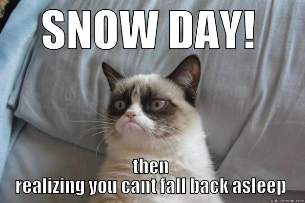 SNOW DAY! THEN REALIZING YOU CANT FALL BACK ASLEEP Grumpy Cat