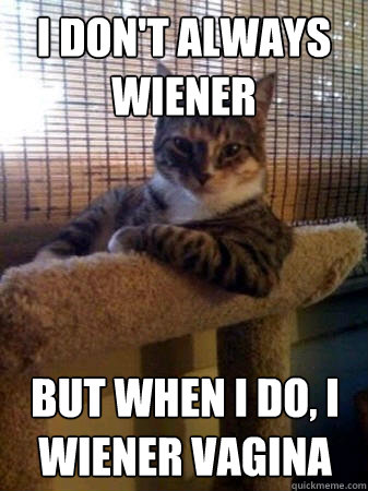 I don't always wiener but when I do, I wiener vagina  The Most Interesting Cat in the World