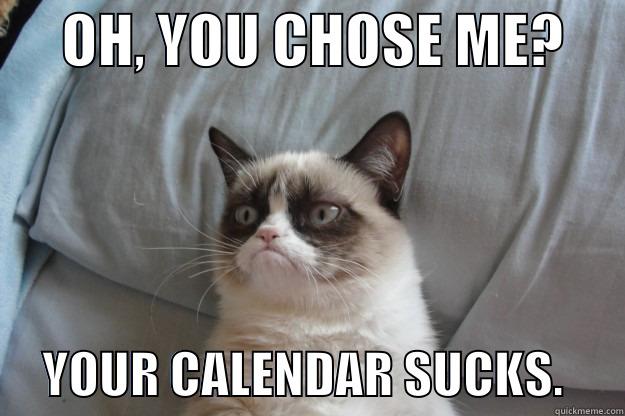      OH, YOU CHOSE ME?           YOUR CALENDAR SUCKS.      Grumpy Cat