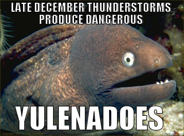 YULE BE SORRY YOU CHASED IT - LATE DECEMBER THUNDERSTORMS PRODUCE DANGEROUS YULENADOES Bad Joke Eel