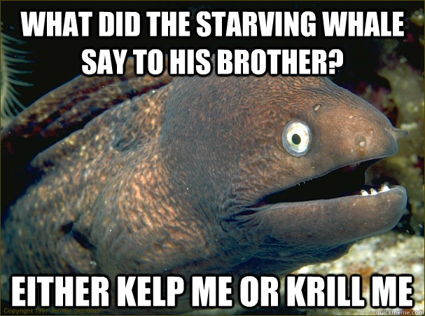 what did the starving whale say to his brother? either kelp me or krill me - what did the starving whale say to his brother? either kelp me or krill me  Bad Joke Eel