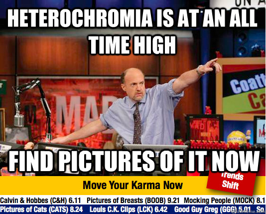 heterochromia is at an all time high Find pictures of it now  Mad Karma with Jim Cramer