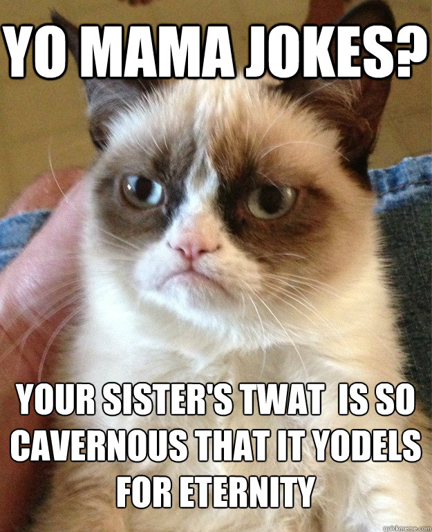 Yo mama jokes? Your sister's twat  is so cavernous that it yodels for eternity  Grumpy Cat