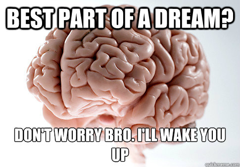 BEST PART OF A DREAM? DON'T WORRY BRO. I'LL WAKE YOU UP   Scumbag Brain