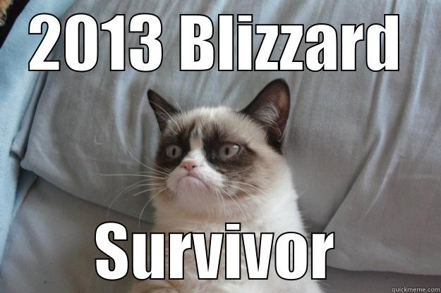 2013 BLIZZARD SURVIVOR Grumpy Cat