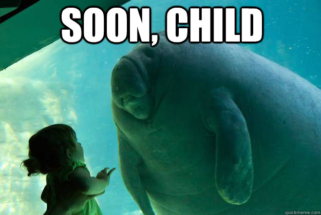 soon, child  - soon, child   Overlord Manatee