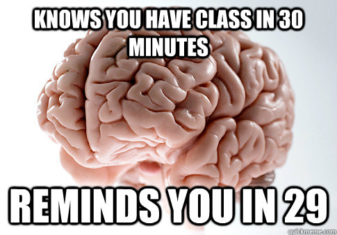 KNOWS YOU HAVE CLASS IN 30 MINUTES REMINDS YOU IN 29 - KNOWS YOU HAVE CLASS IN 30 MINUTES REMINDS YOU IN 29  Scumbag Brain