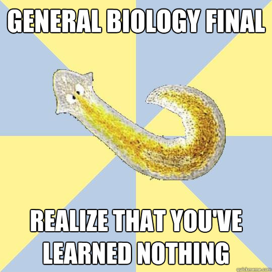 General Biology Final Realize that you've learned nothing - General Biology Final Realize that you've learned nothing  Bio Major Planarian