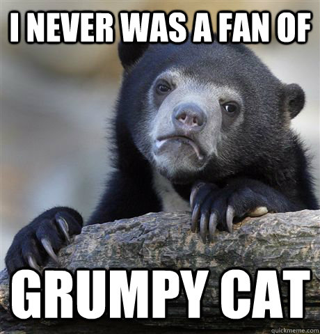 I never was a fan of Grumpy Cat  Confession Bear