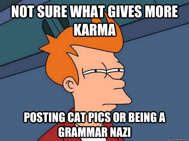 Not sure what gives more karma posting cat pics or being a grammar nazi  Futurama Fry