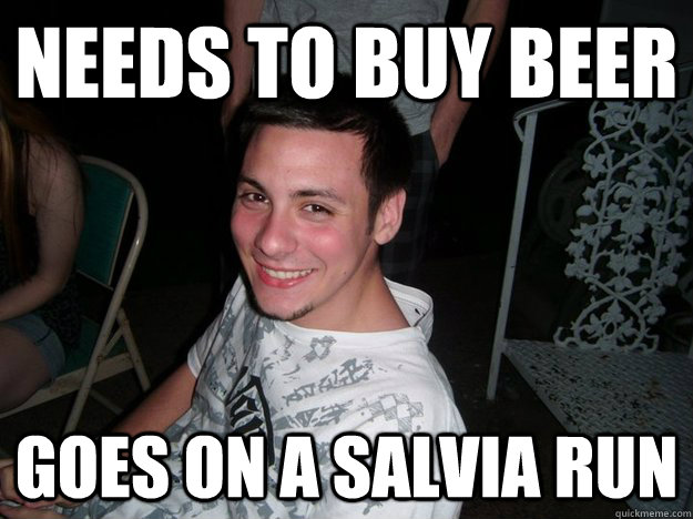 needs to buy beer goes on a salvia run - needs to buy beer goes on a salvia run  Robbie Kegstands