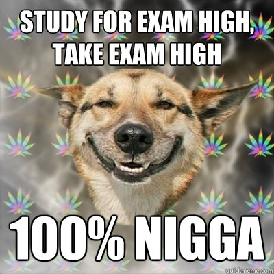 study for exam high, take exam high 100% nigga  Stoner Dog