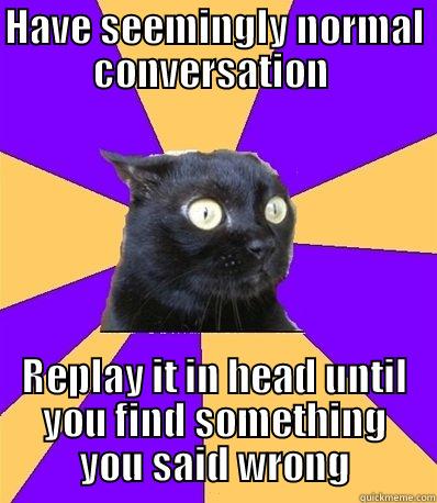 Anxiety Cat  - HAVE SEEMINGLY NORMAL CONVERSATION  REPLAY IT IN HEAD UNTIL YOU FIND SOMETHING YOU SAID WRONG Misc