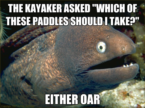 the kayaker asked 