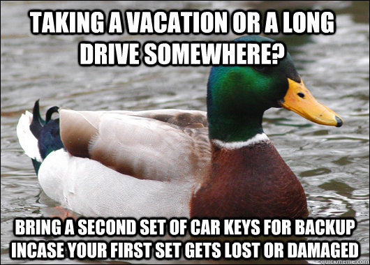 Taking a vacation or a long drive somewhere? Bring a second set of car keys for backup incase your first set gets lost or damaged - Taking a vacation or a long drive somewhere? Bring a second set of car keys for backup incase your first set gets lost or damaged  Actual Advice Mallard