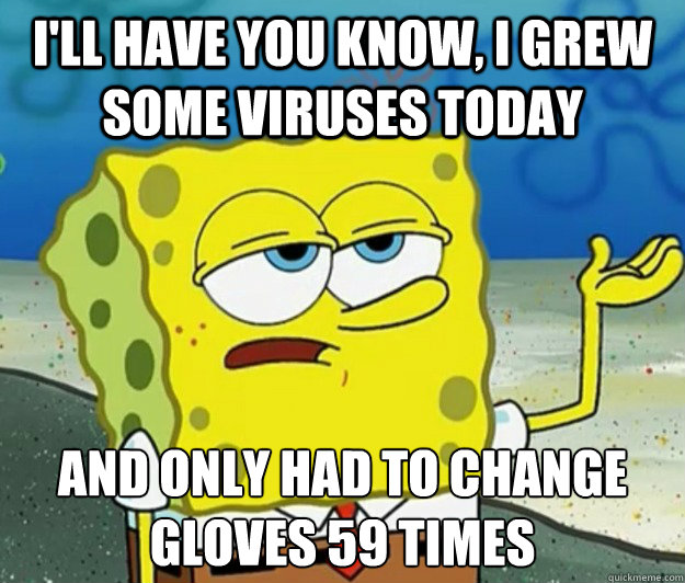 I'll have you know, I grew some viruses today and only had to change gloves 59 times - I'll have you know, I grew some viruses today and only had to change gloves 59 times  Tough Spongebob