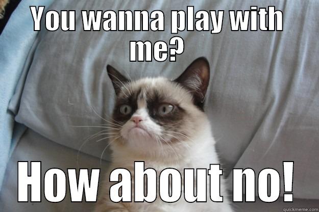 YOU WANNA PLAY WITH ME? HOW ABOUT NO! Grumpy Cat