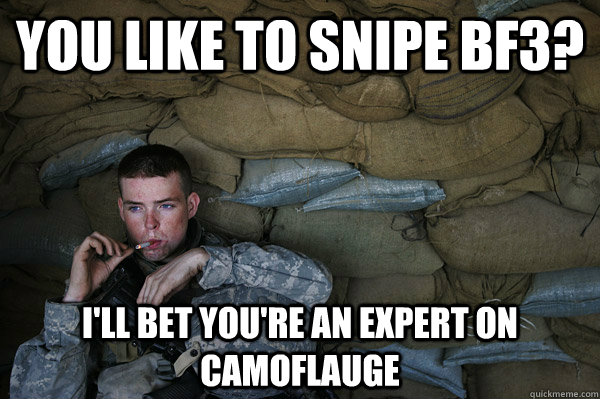 you like to snipe bf3? i'll bet you're an expert on camoflauge  