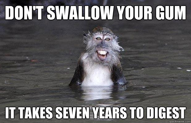 don't swallow your gum it takes seven years to digest  