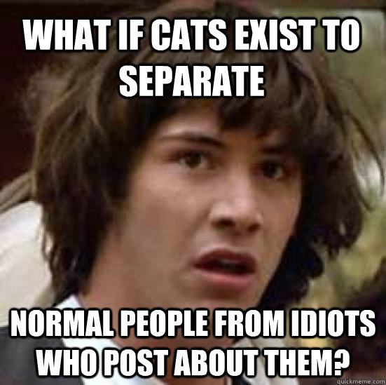 what if cats exist to separate normal people from idiots who post about them? - what if cats exist to separate normal people from idiots who post about them?  conspiracy keanu