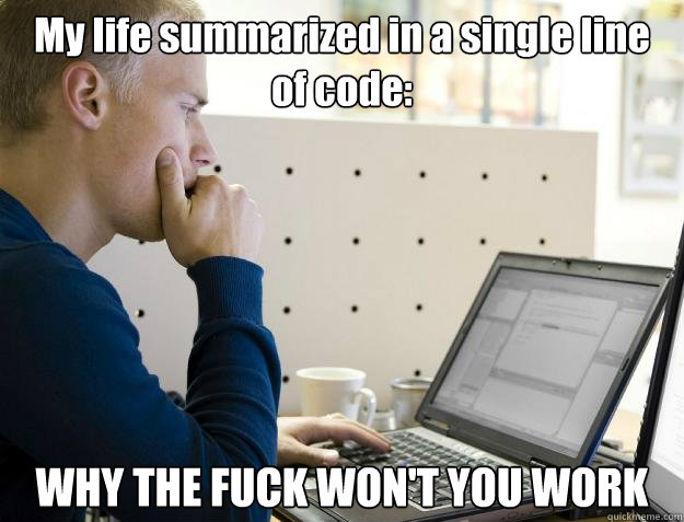 My life summarized in a single line of code:  WHY THE FUCK WON'T YOU WORK  Programmer