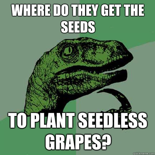 Where do they get the seeds To plant seedless grapes?  Philosoraptor