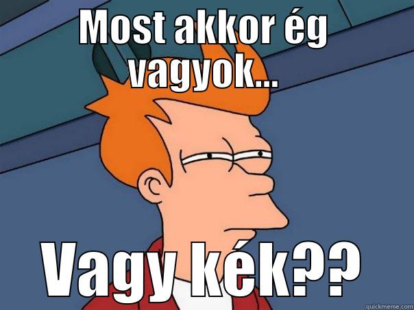 MOST AKKOR ÉG VAGYOK... VAGY KÉK?? Futurama Fry