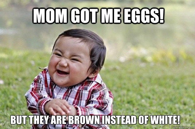 mom got me eggs! but they are brown instead of white! - mom got me eggs! but they are brown instead of white!  Evil Toddler