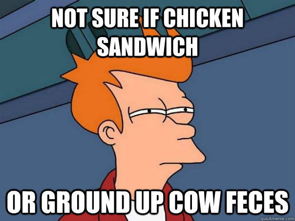 Not sure if chicken sandwich or ground up cow feces - Not sure if chicken sandwich or ground up cow feces  Futurama Fry