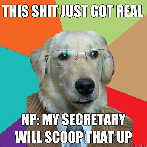 this shit just got real np: my secretary 
will scoop that up  Business Dog