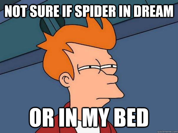 Not sure if spider in dream or in my bed  Futurama Fry