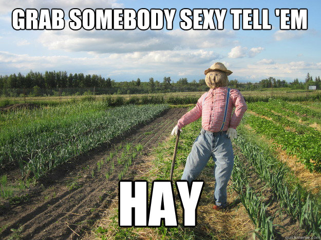 grab somebody sexy tell 'em hay  Scarecrow