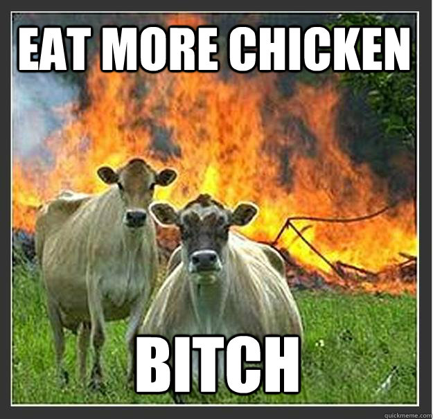 eat more chicken bitch   Evil cows