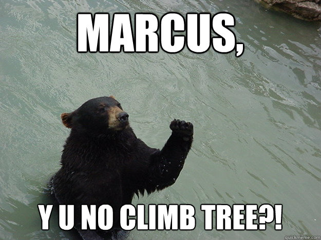 Marcus, y u no climb tree?!  Vengeful Bear