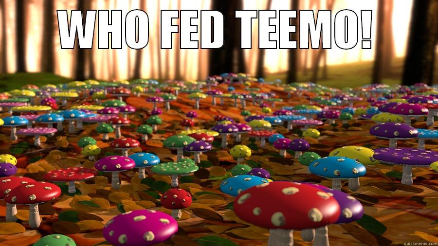 who fed teemo - WHO FED TEEMO!  Misc