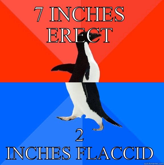 Social awesome awkward penis - 7 INCHES ERECT 2 INCHES FLACCID Socially Awesome Awkward Penguin